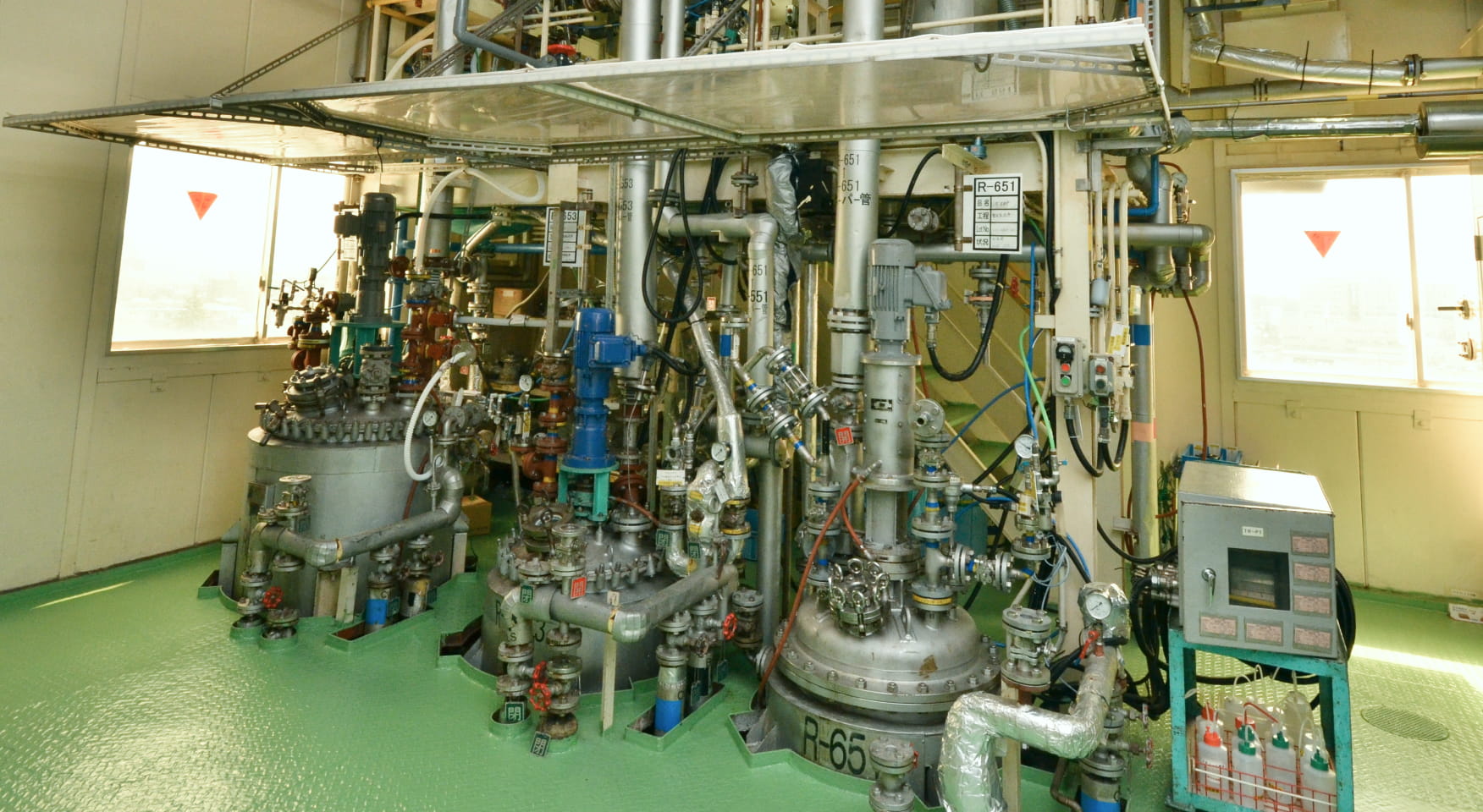JUZEN Pirot Plant